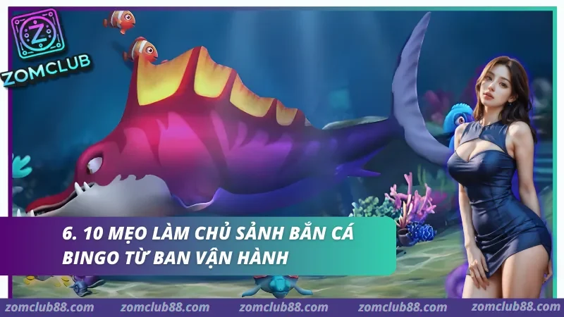 10 Mẹo làm chủ sảnh Bắn cá Bingo từ ban vận hành