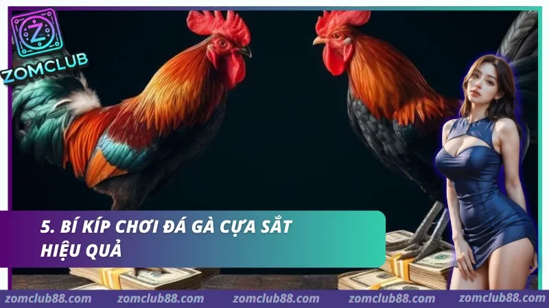 da-ga-cua-sat-zomclub-3.webp Bí kíp chơi Đá gà cựa sắt hiệu quả