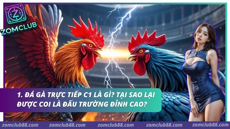 Đá gà trực tiếp C1 kiến tạo không gian thi đấu chuyên nghiệp với hệ thống livestream đa góc quay sắc nét nhất năm 2026.