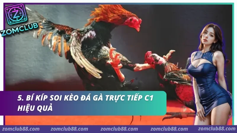 Theo dõi Đá gà trực tiếp C1 yêu cầu sự tỉnh táo và kỷ luật vốn thép để gặt hái những chiến thắng lớn.