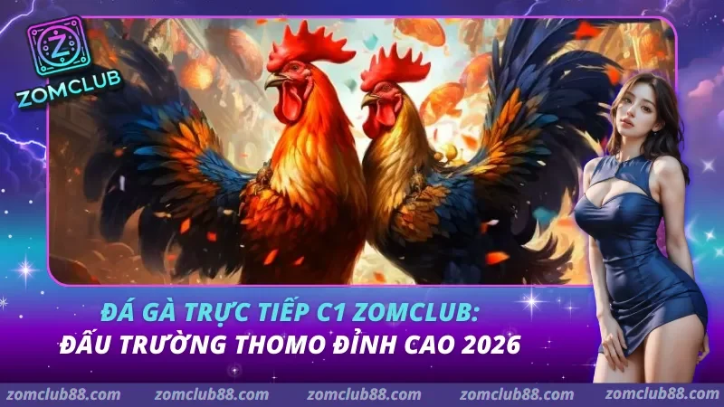 Đá Gà Trực Tiếp C1 Zomclub: Đấu Trường Thomo Đỉnh Cao 2026