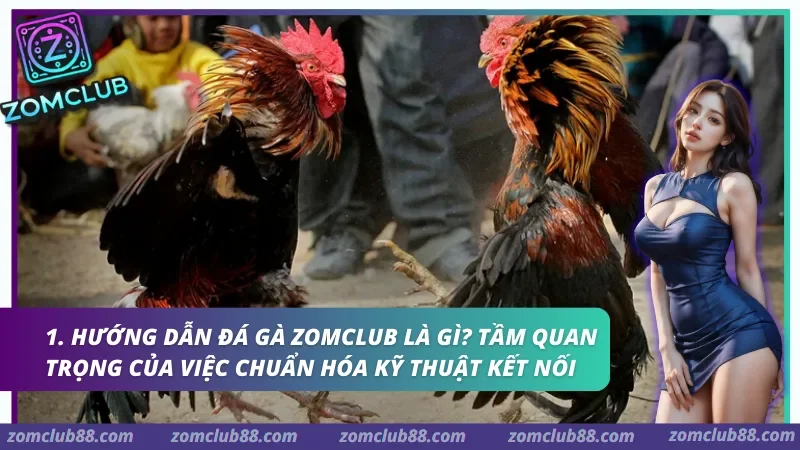 huong-dan-da-ga-zomclub-1.webp Tài liệu hướng dẫn đá gà Zomclub tập trung vào việc chuẩn hóa chất lượng truyền tải hình ảnh và bảo mật dữ liệu định danh.