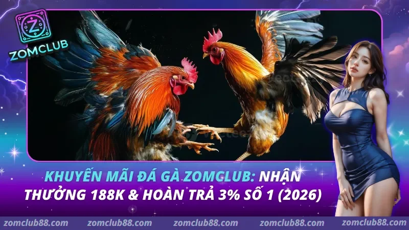 Khuyến Mãi Đá Gà Zomclub: Nhận Thưởng 188K & Hoàn Trả 3% Số 1 (2026)