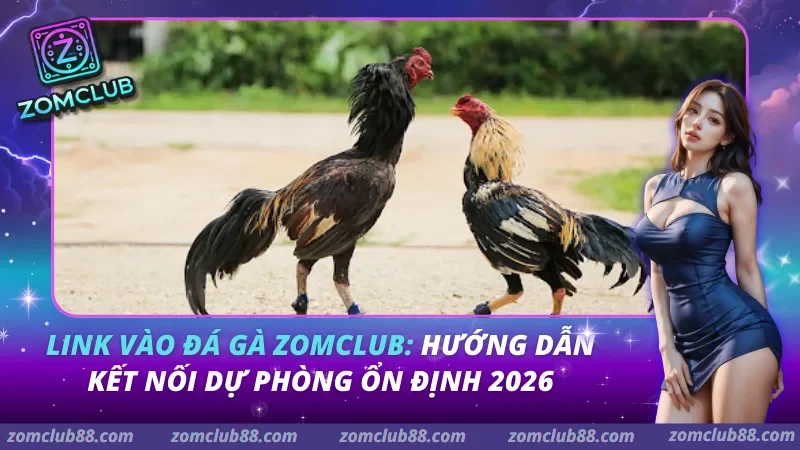 Link Vào Đá Gà Zomclub: Hướng Dẫn Kết Nối Dự Phòng Ổn Định 2026