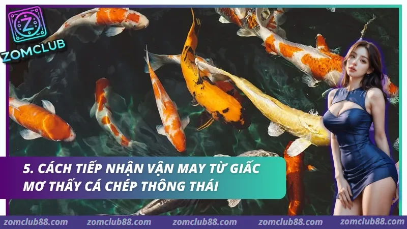 Cách tiếp nhận vận may từ giấc mơ thấy cá chép thông thái
