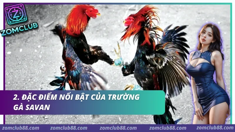 Savan được đánh giá cao nhờ sự đầu tư đồng bộ vào công nghệ truyền tải hình ảnh giúp người xem có trải nghiệm tốt nhất.