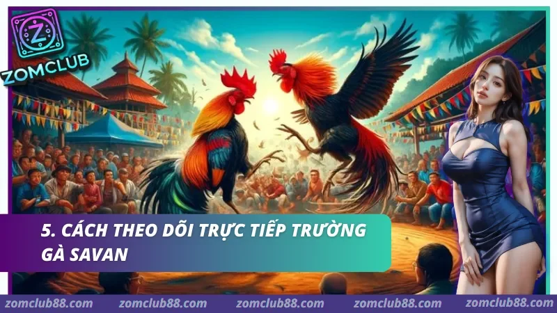Cách theo dõi trực tiếp Trường gà Savan