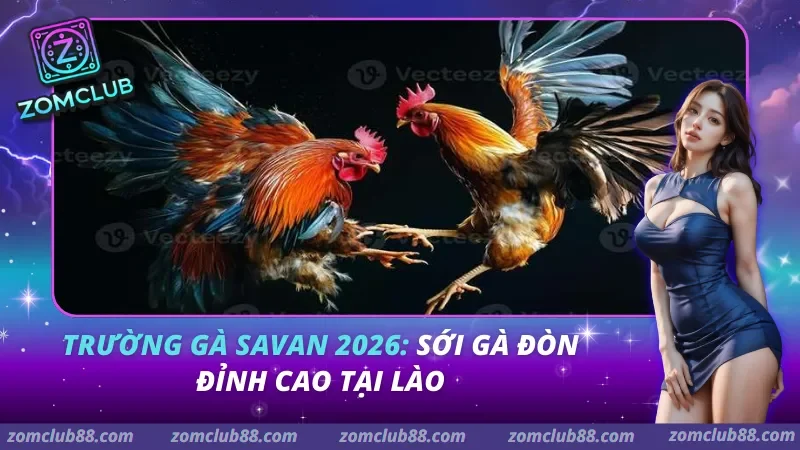 Trường Gà Savan 2026: Sới Gà Đòn Đỉnh Cao Tại Lào