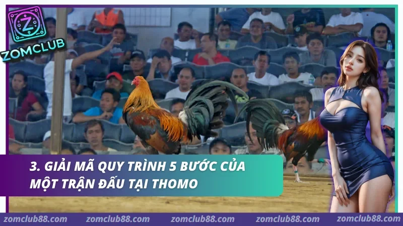 Giải mã quy trình 5 bước của một trận đấu tại Thomo