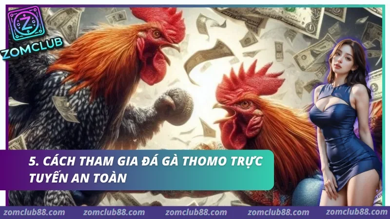 Cách tham gia Đá gà Thomo trực tuyến an toàn