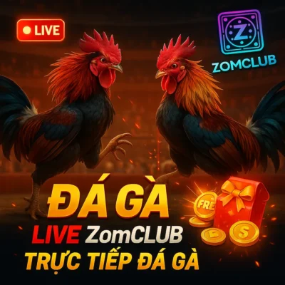 Đá Gà Live Zomclub: Bí Kíp Soi Kèo & Nhận Quà 169K Số 1 (2026)