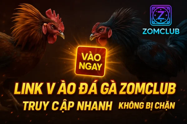 Link Vào Đá Gà Zomclub: Bí Kíp Truy Cập Chính Chủ Số 1 (2026)