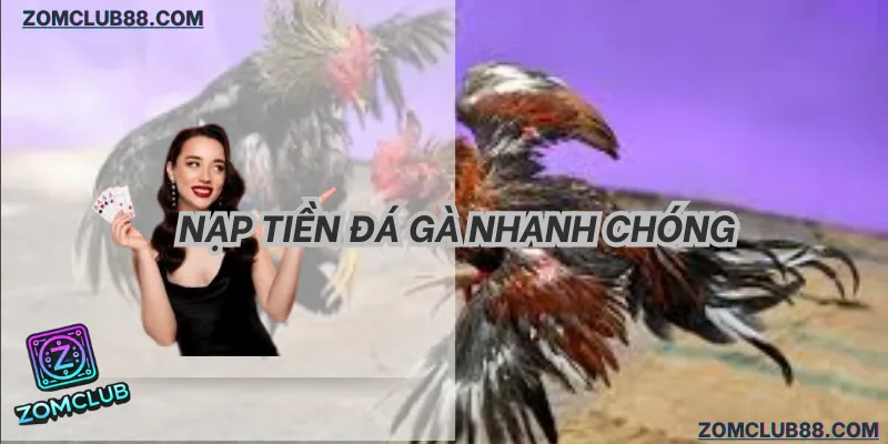 Giao diện nạp vốn ZomClub. giao diện nạp tiền đá gà zomclub trực quan 2026