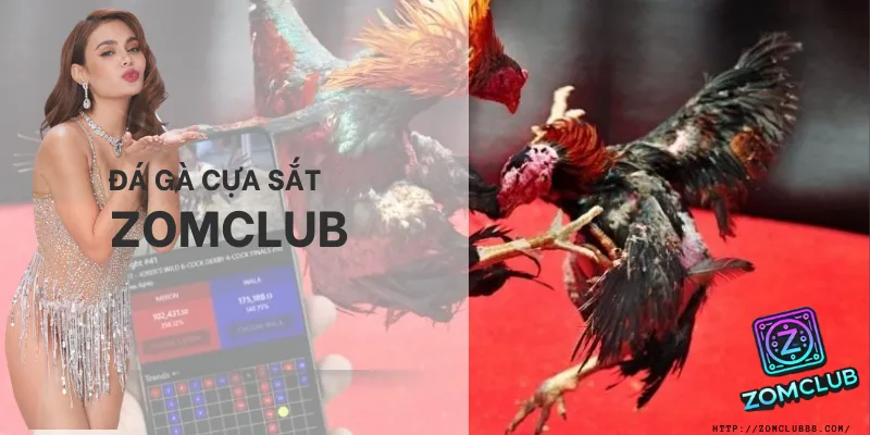 Sảnh Đá gà cựa sắt Zomclub. trải nghiệm đá gà cựa sắt zomclub trực tiếp thomo 2026