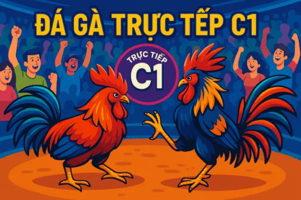 Đá Gà Trực Tiếp C1: Bí Kíp Soi Kèo & Thắng Lớn Số 1 (2026)