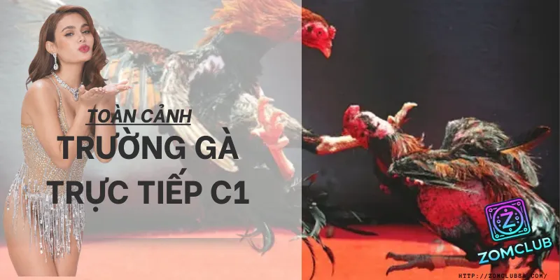 Đấu trường Đá gà C1. trải nghiệm đá gà trực tiếp c1 đồ họa 4k tại hệ thống zomclub